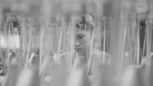 A lörinci fonóban Bild 1