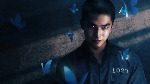 如果我不曾見過太陽 Bild 1