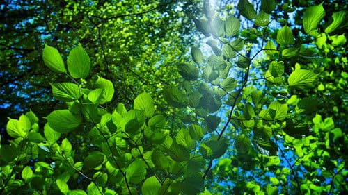 The Great British Year Bild 1