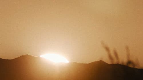 She Dies Tomorrow Bild 3