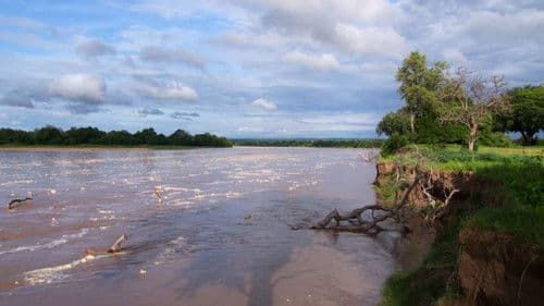 Africa River Wild Bild 1
