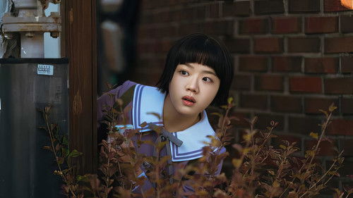 로맨스의 절댓값 Bild 2