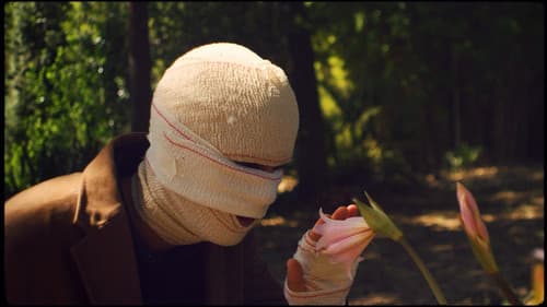 Tigre Místico Bild 3