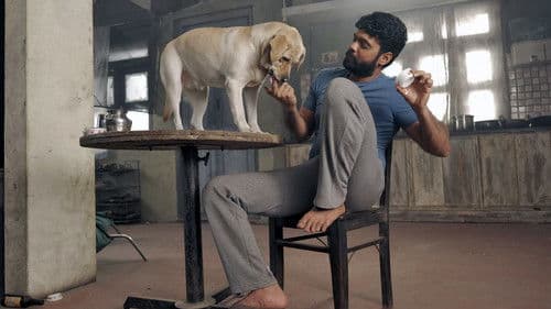 777 ಚಾರ್ಲಿ Bild 5