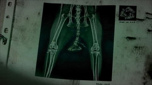 Thale - Ein dunkles Geheimnis Bild 3