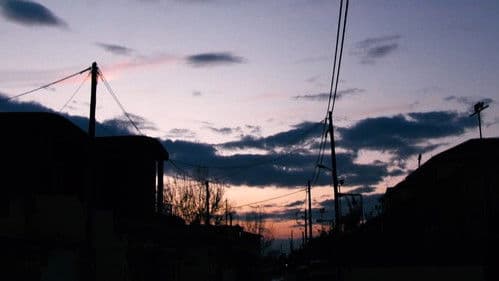 γέννημα θρέμμα Δεντροπόταμος Bild 7