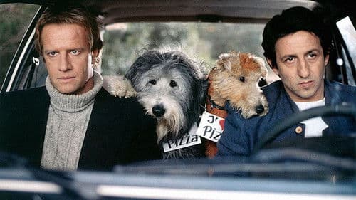 Herkules & Sherlock Bild 2