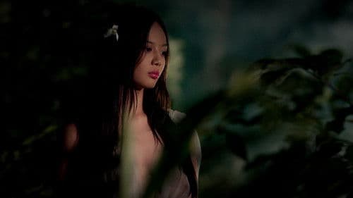 Virgin Forest Bild 6