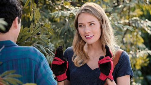 Love Under the Olive Tree Bild 8