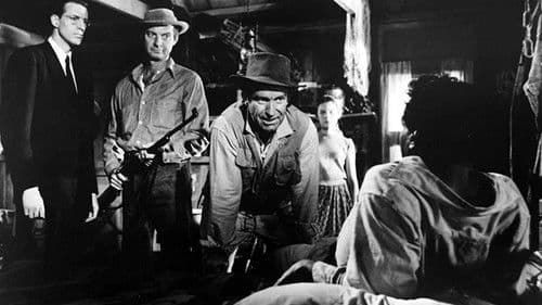 Das junge Mädchen Bild 1