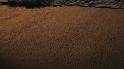 The Fisherman Bild 8