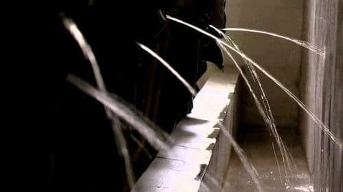 Die besondere Wissenschaft vom Urin Bild 2