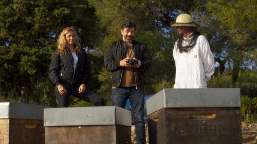 Wo ist Albert? Bild 2