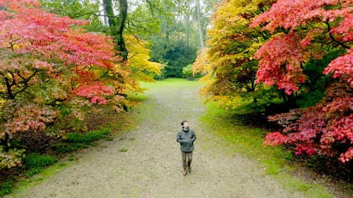 The Secret Life of Trees Bild 3