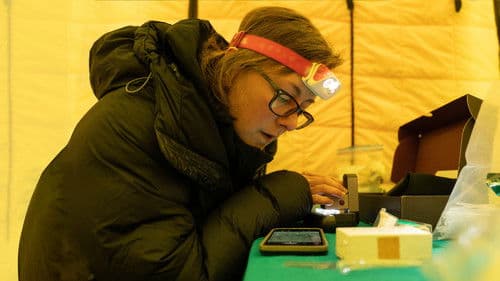 Expedition Everest Bild 5