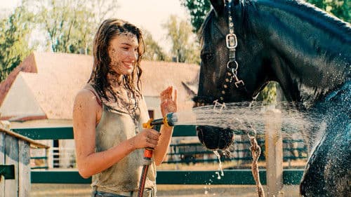 Immenhof - Das Abenteuer eines Sommers Bild 5
