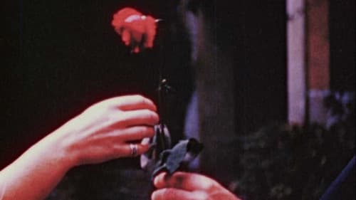 The Assignation Bild 4