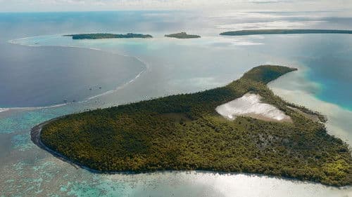 Marlon Brando: Im Paradies Bild 1