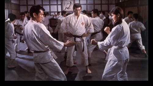 少林寺拳法 Bild 2