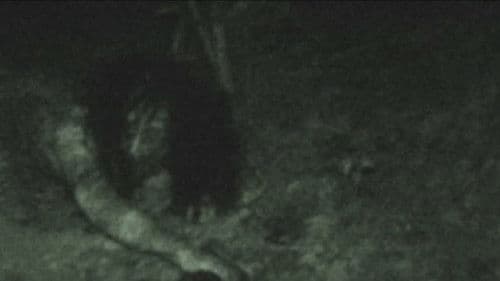 戦慄怪奇ファイル コワすぎ！ FILE-03 人喰い河童伝説 Bild 2