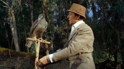 Das Kabinett der blutigen Hände Bild 7