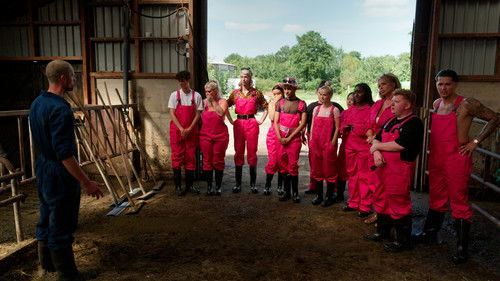 Mit High Heels im Heu Bild 1