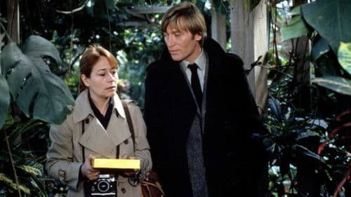 Le Point de mire Bild 1