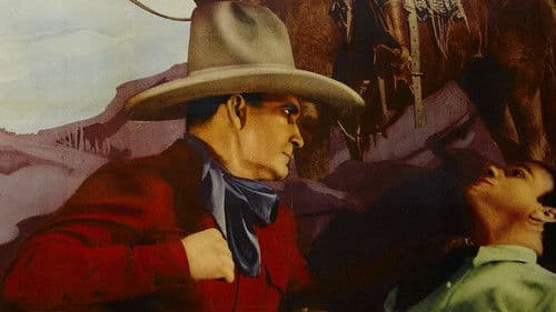 Texas Wildcats Bild 1