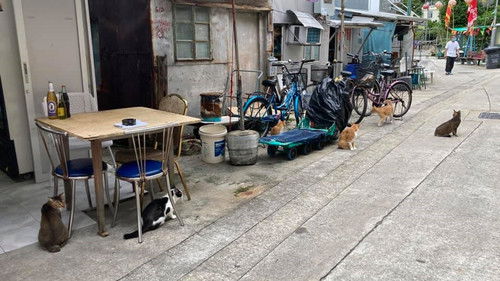 和你寫一封情書 Bild 1