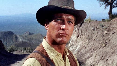 Man nannte ihn Hombre Bild 8