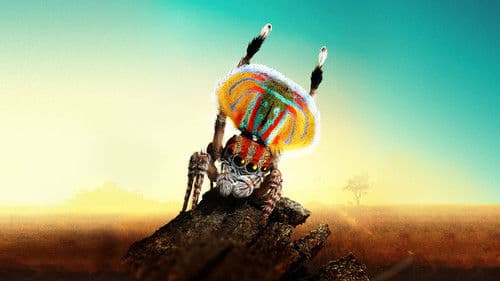 Magical Land of Oz Bild 1