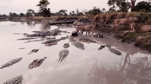 Katavi Africa's Fallen Paradise Bild 3