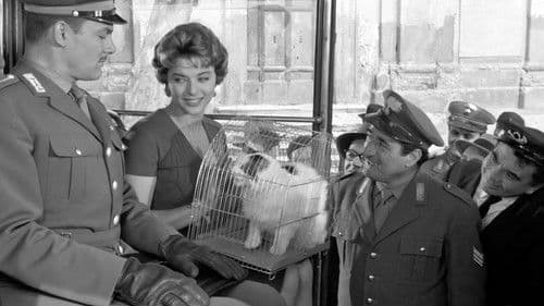 Tuppe tuppe, Marescià! Bild 1