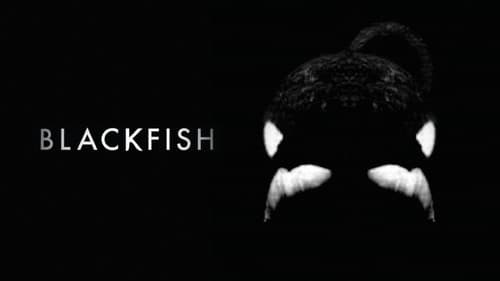 Blackfish: Der Killerwal Bild 7