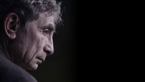 The Wisdom of Trauma Bild 3