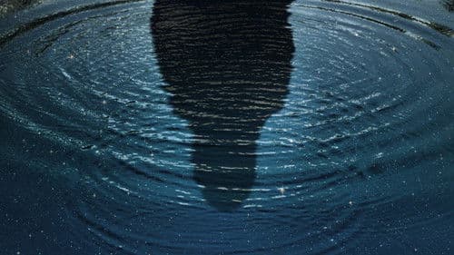 First Light - Die Auserwählte Bild 8