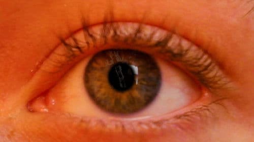 Cinematic Kaleidoscope Bild 2