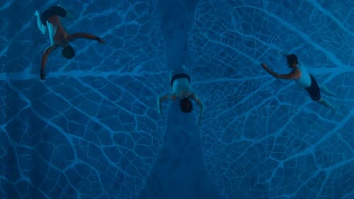 Die Donnerstagswitwen Bild 2