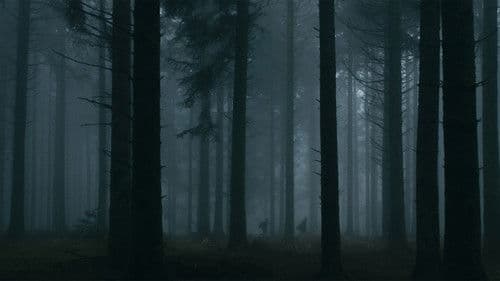 Le Cœur Noir des Forêts Bild 1