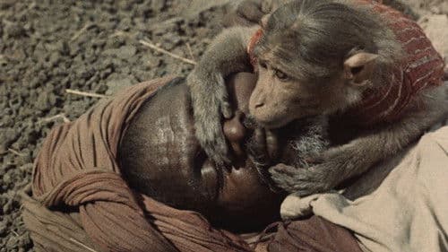 India: Matri Bhumi Bild 3