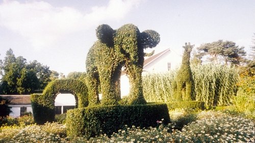 Fast, Cheap & Out of Control Bild 1