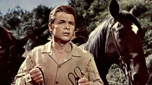 Morgen bist du dran Bild 1