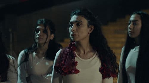 بوکا بارانێ Bild 2