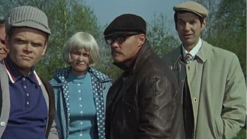 Kalina Krassnaja – Roter Holunder Bild 4