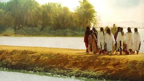 واحة الغروب Bild 1