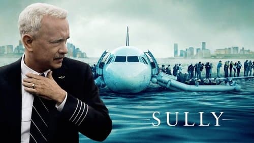 Sully Bild 3