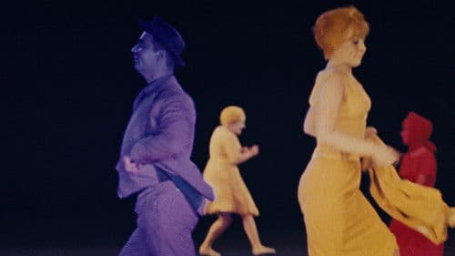 Wenn der Kater kommt Bild 1