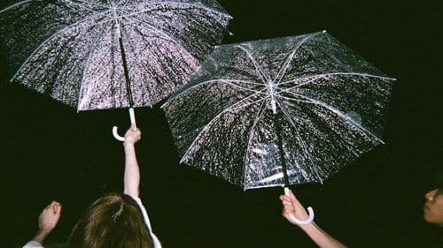 私もただの女の子なんだ Bild 1