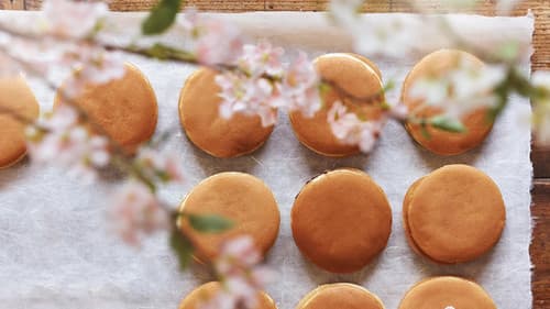 Kirschblüten und rote Bohnen Bild 2