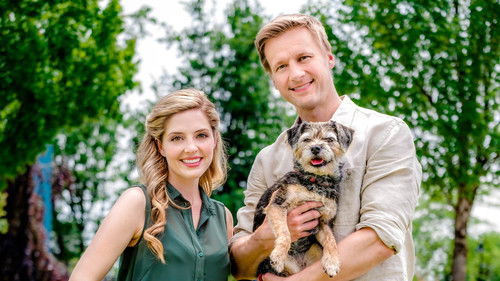 Countdown der Liebe Bild 2